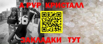 стаф Сланцы