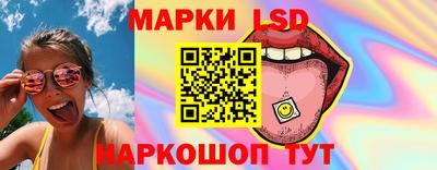 стаф Сланцы
