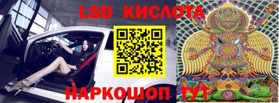 стаф Сланцы