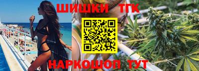 стаф Сланцы