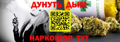стаф Сланцы