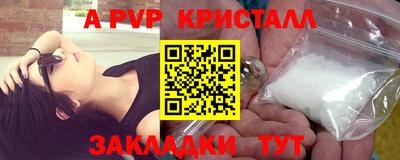 стаф Сланцы